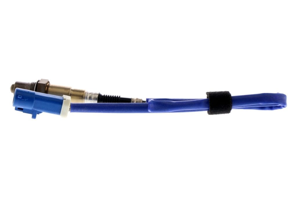 1bc19acb-7d01-4ef2-b0ac-e1b42809801b