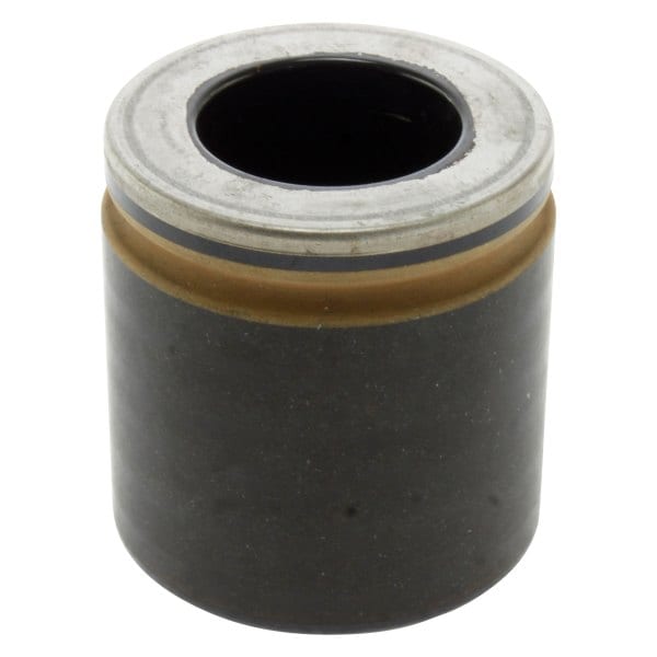 BR STIMPILL GM CAD SRX 04-09 48 MM A
